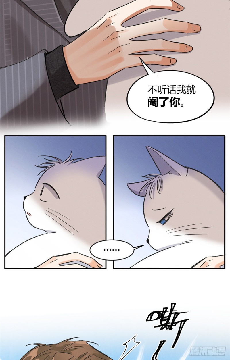 第35话 猫猫病啦18