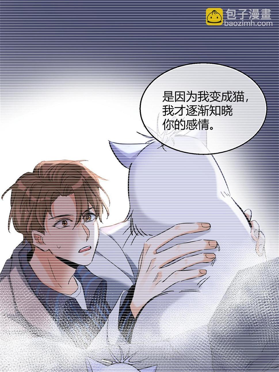 104 猫猫回归！24
