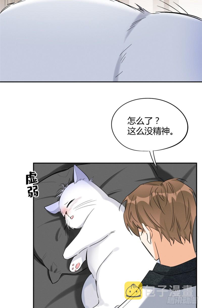 第35话 猫猫病啦7