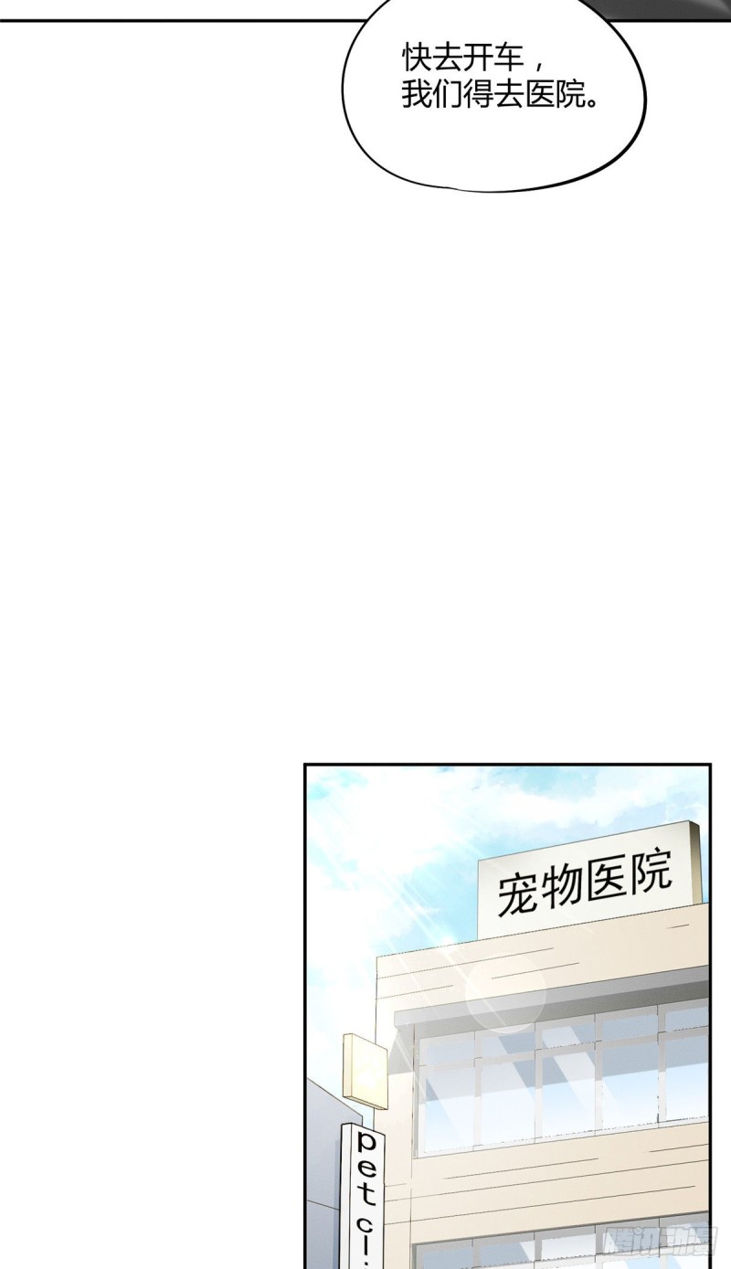 第35话 猫猫病啦10