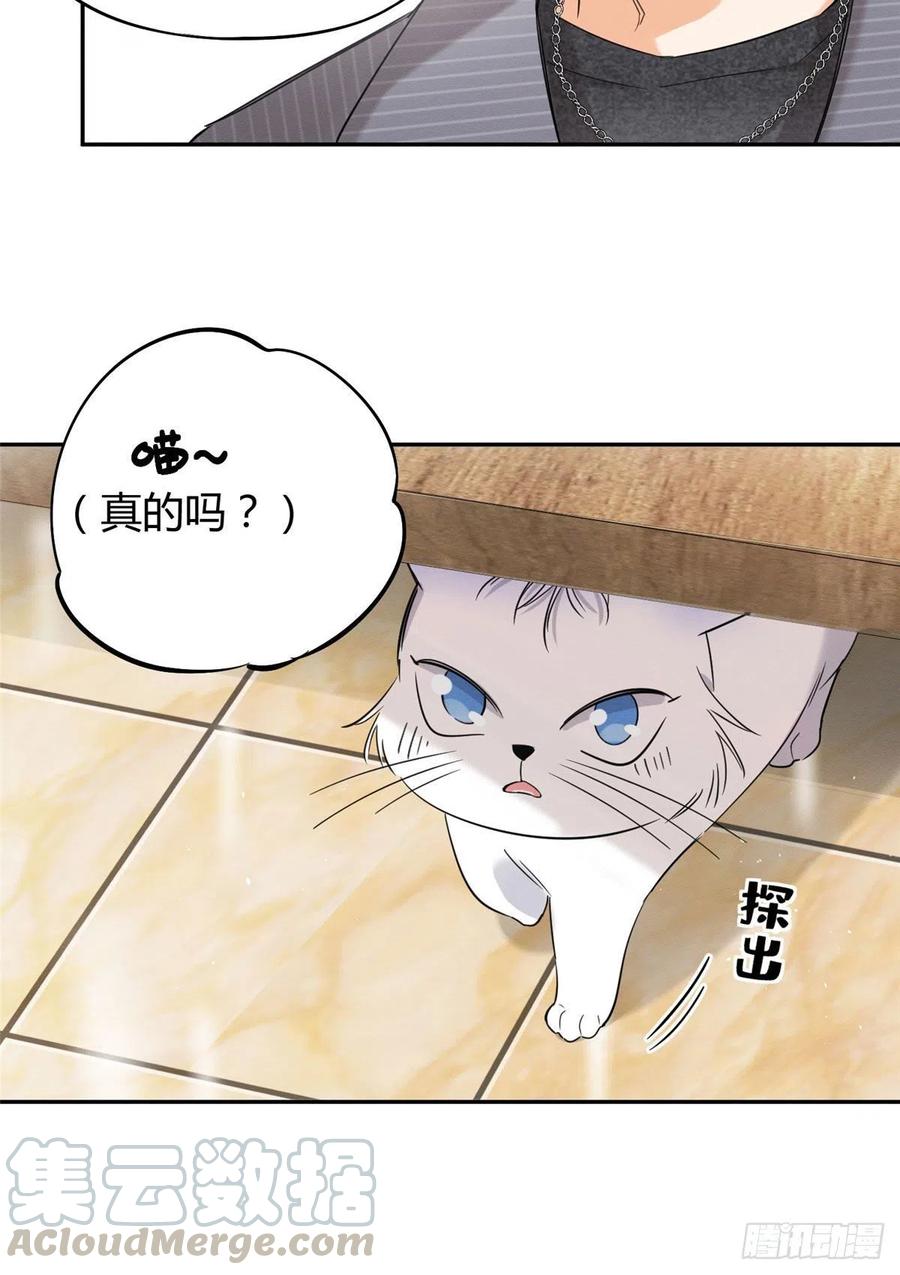 第36话 变成猫怎么恢复？6