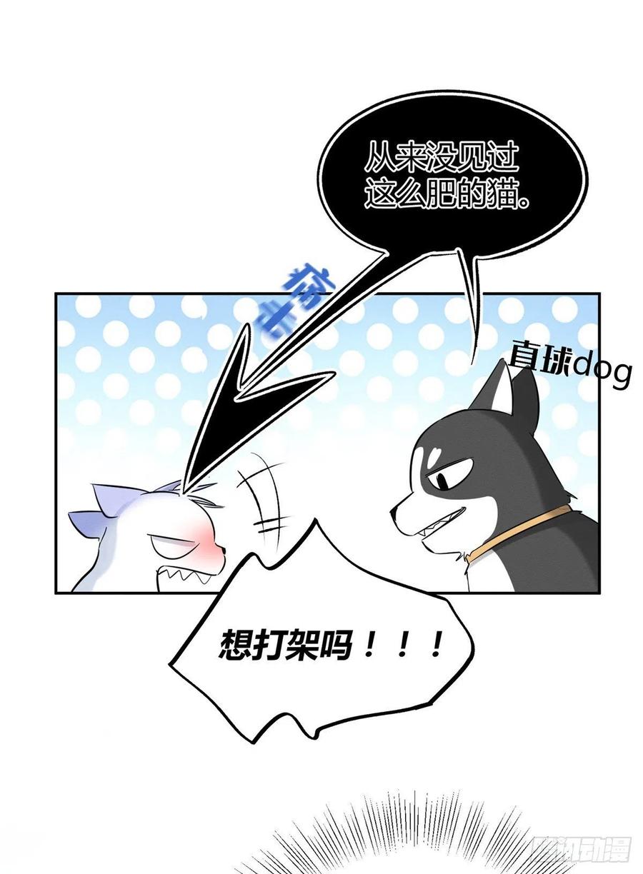 第42话 喜欢的模样25