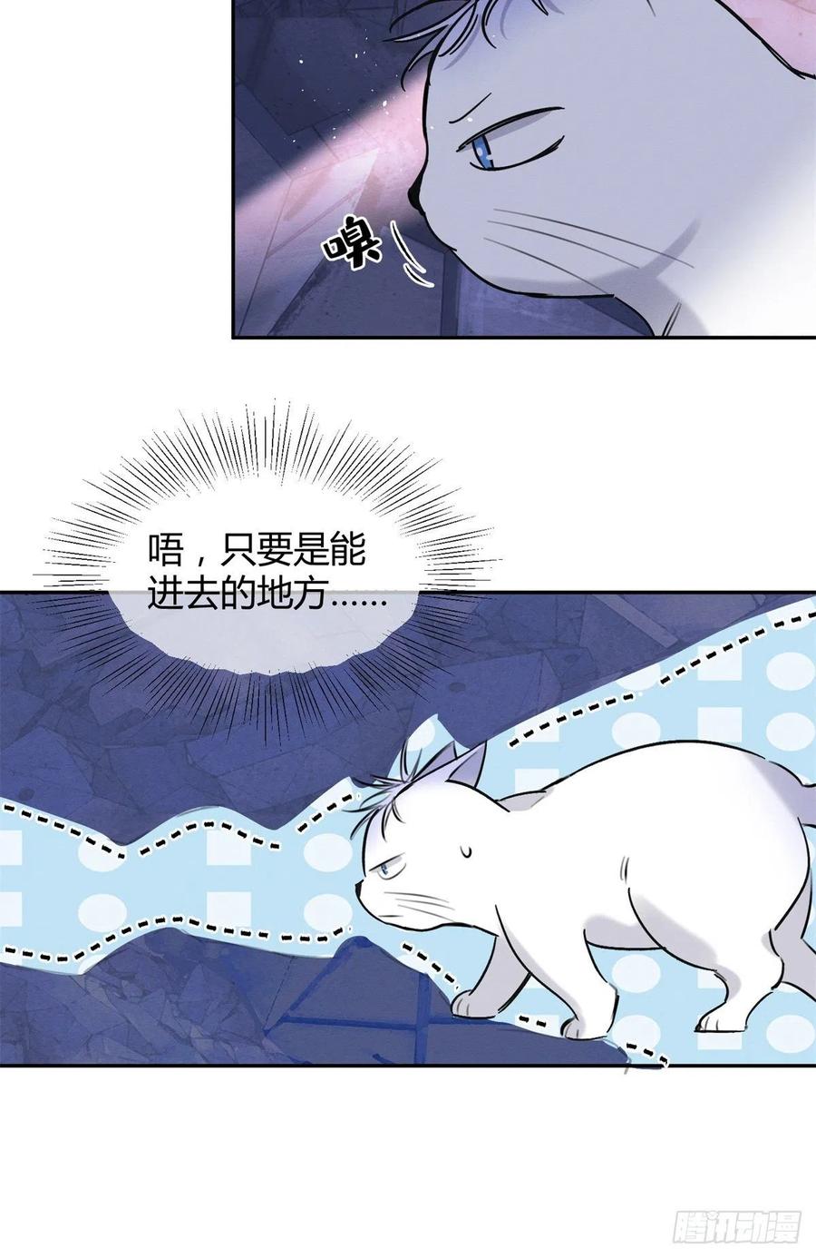 53 裴臻你变回来了？！35