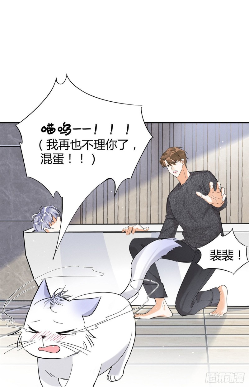 第38话 吻？能醒吗32