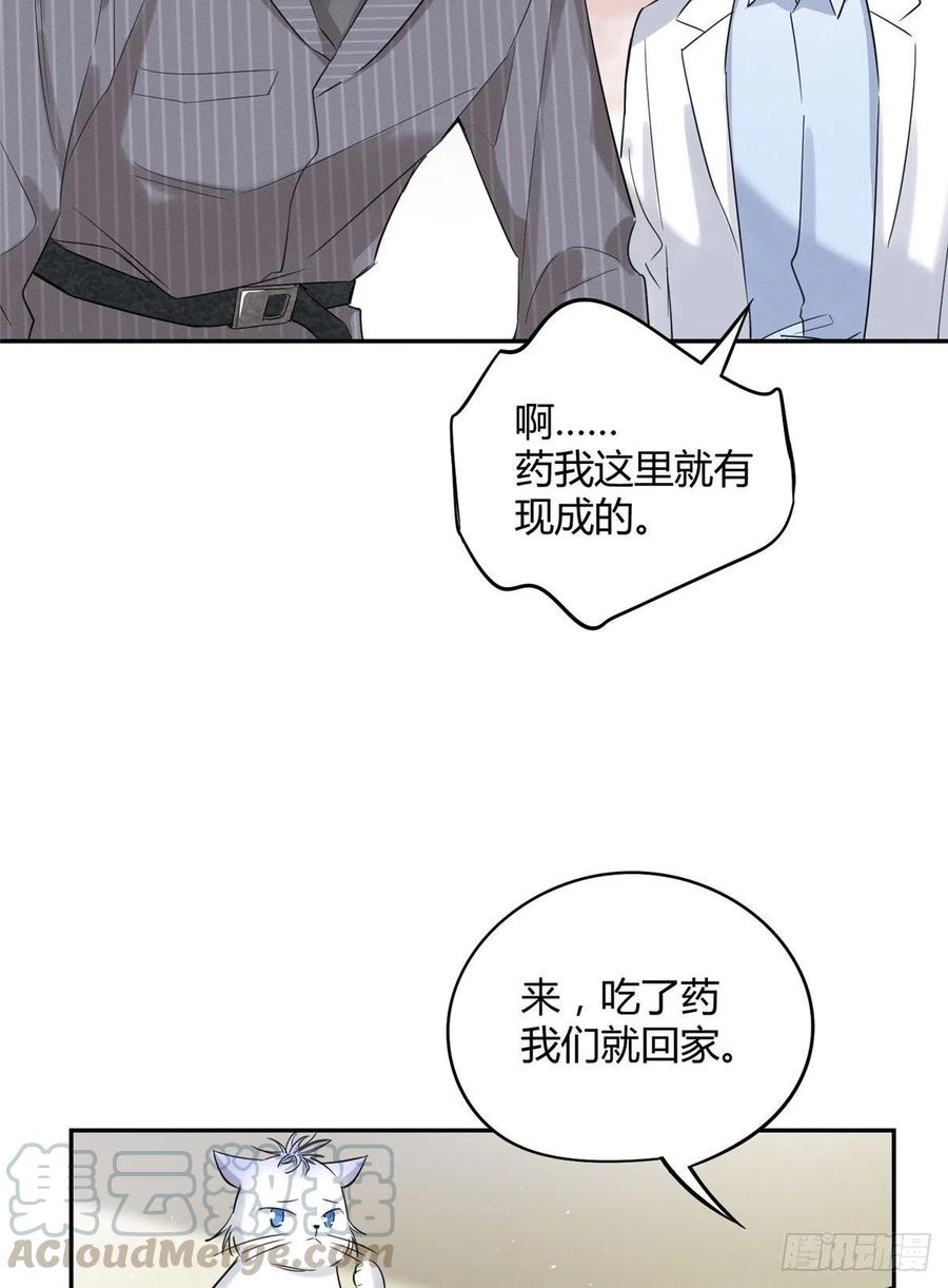 第36话 变成猫怎么恢复？4