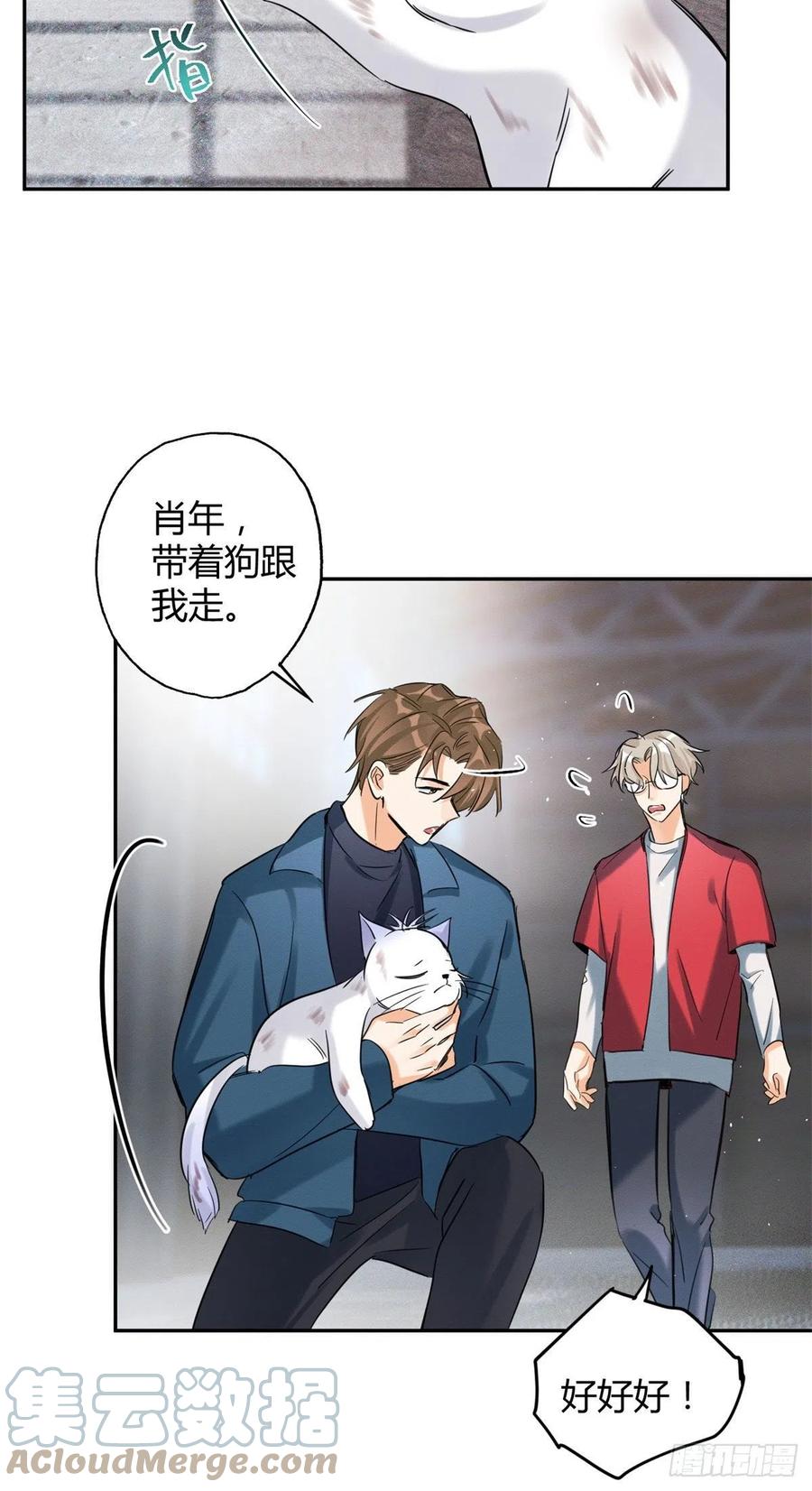 48英雄救猫狗22