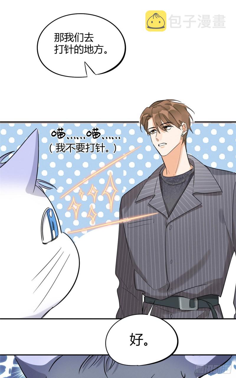 第35话 猫猫病啦14
