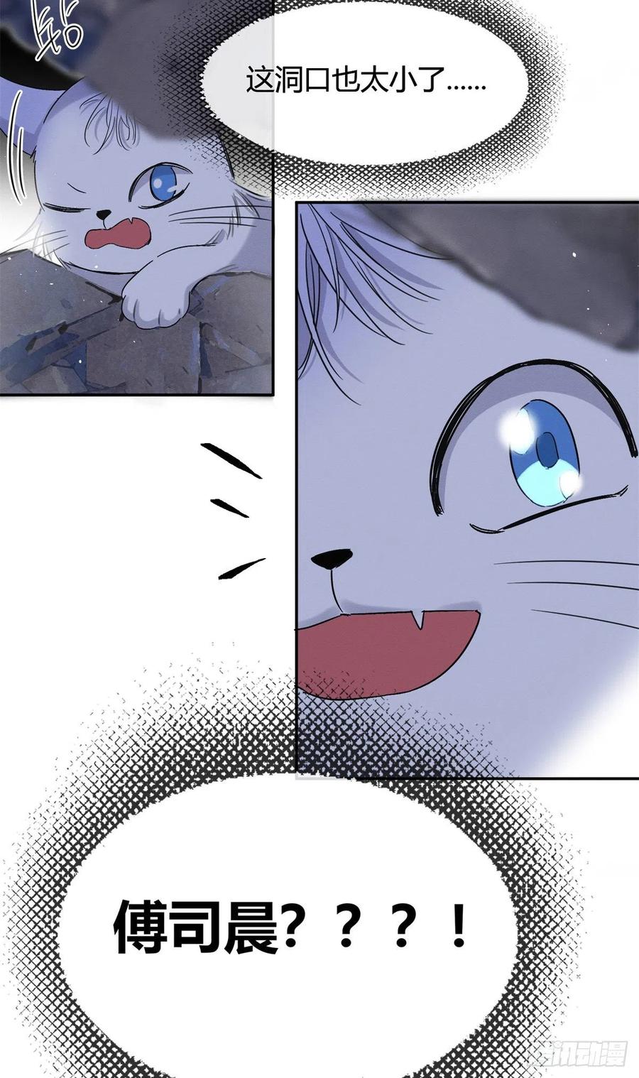 53 裴臻你变回来了？！52