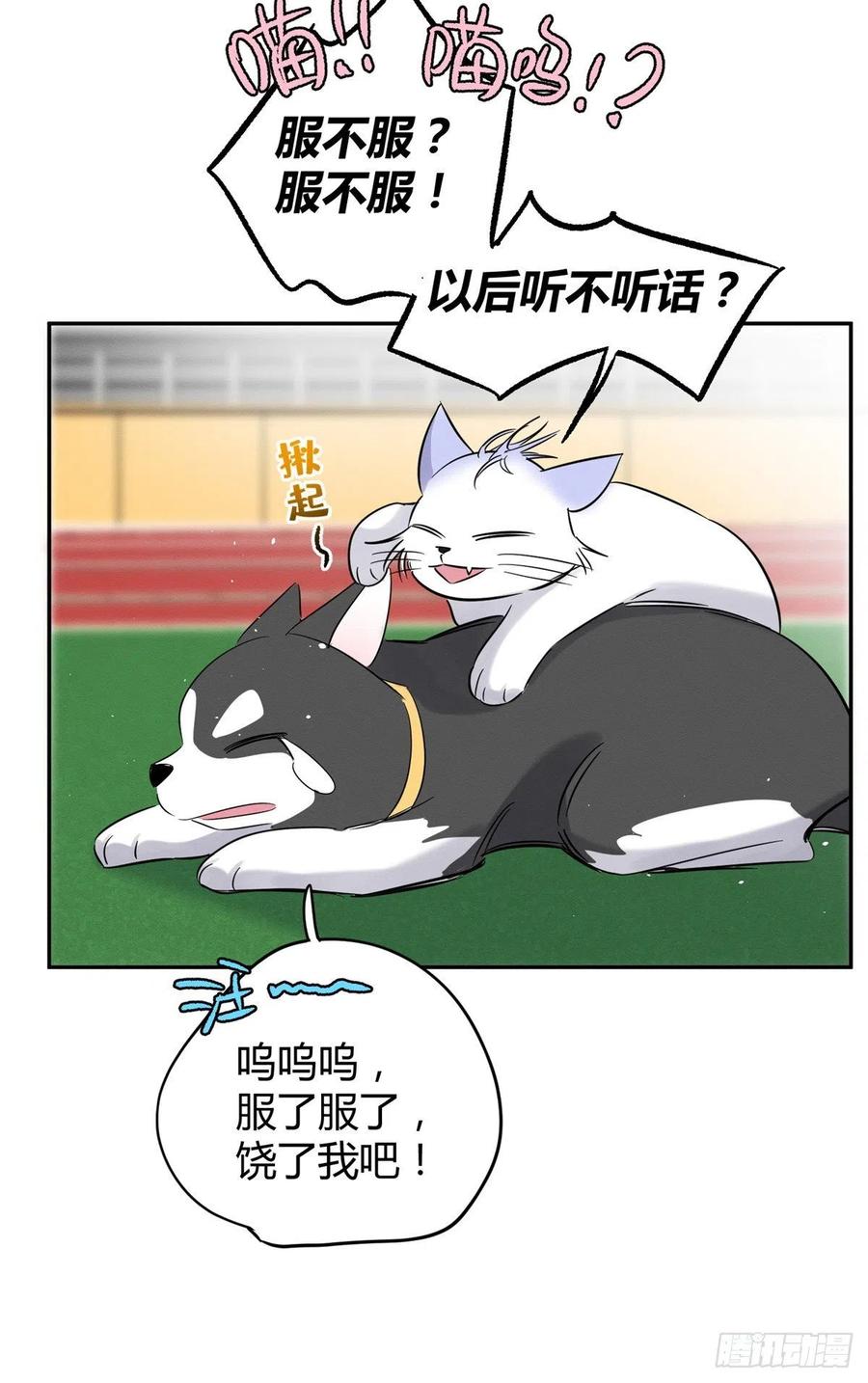 第42话 喜欢的模样38