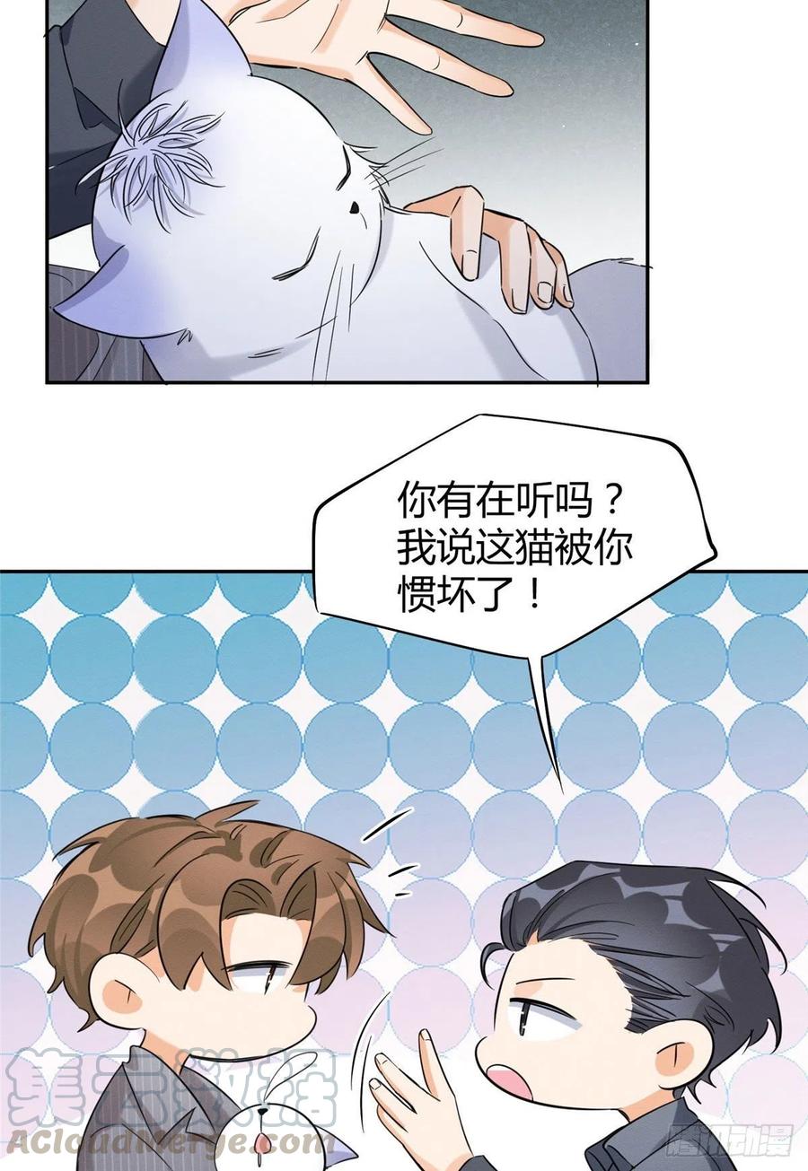 第36话 变成猫怎么恢复？12