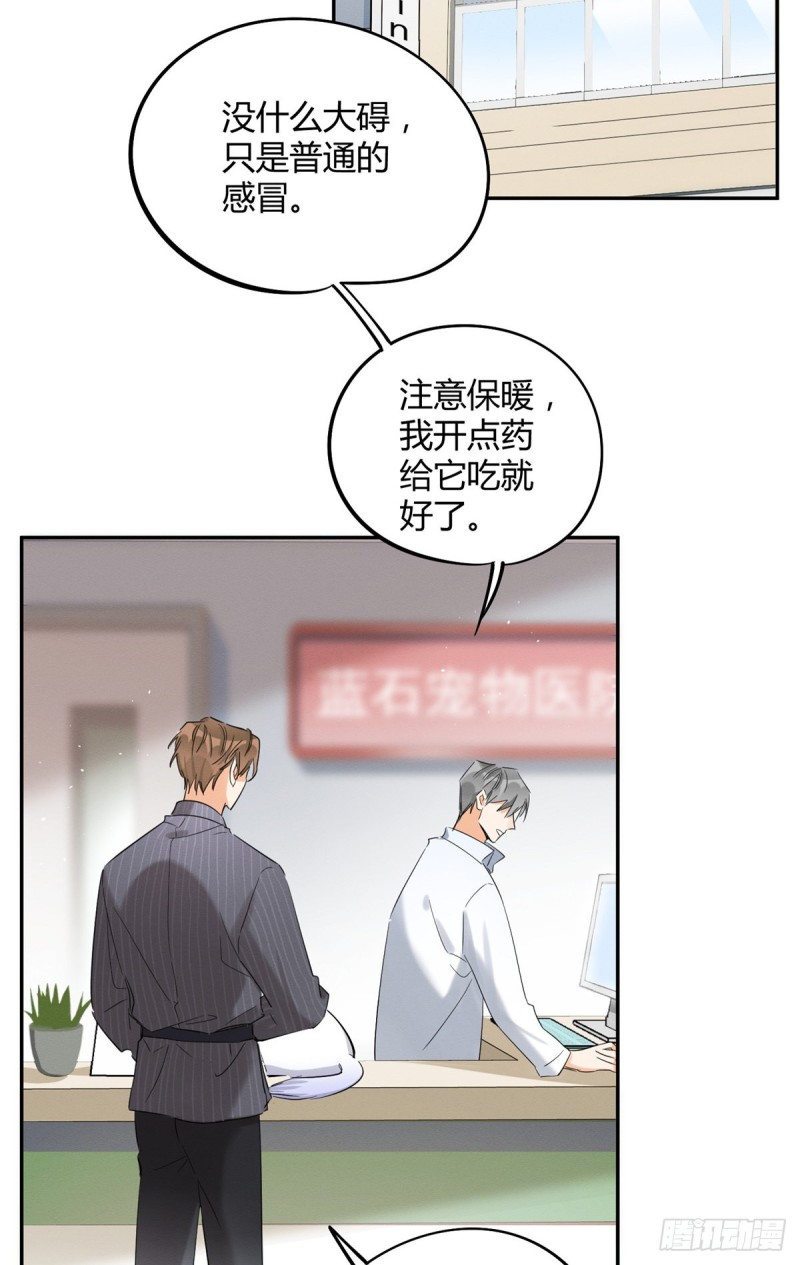 第35话 猫猫病啦11