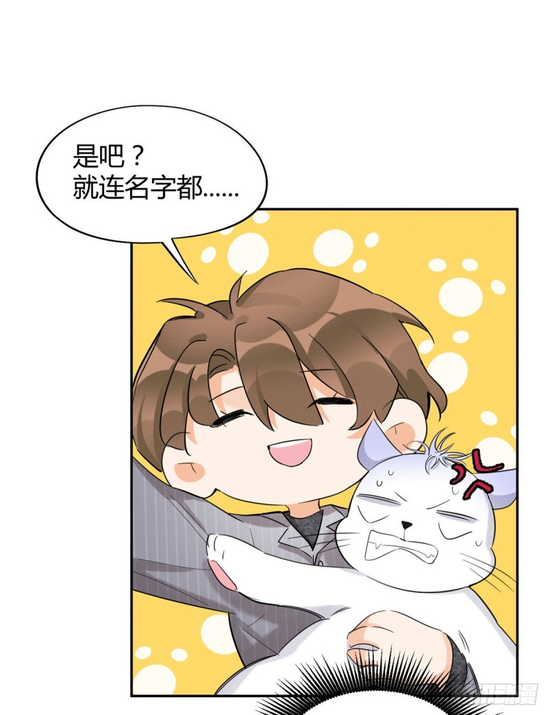 第38话 吻？能醒吗5