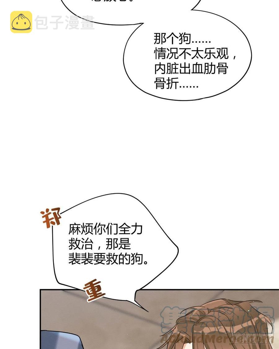 48英雄救猫狗34