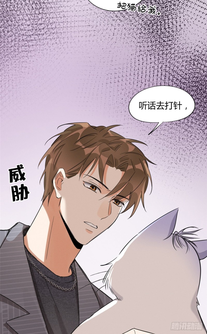 第35话 猫猫病啦17