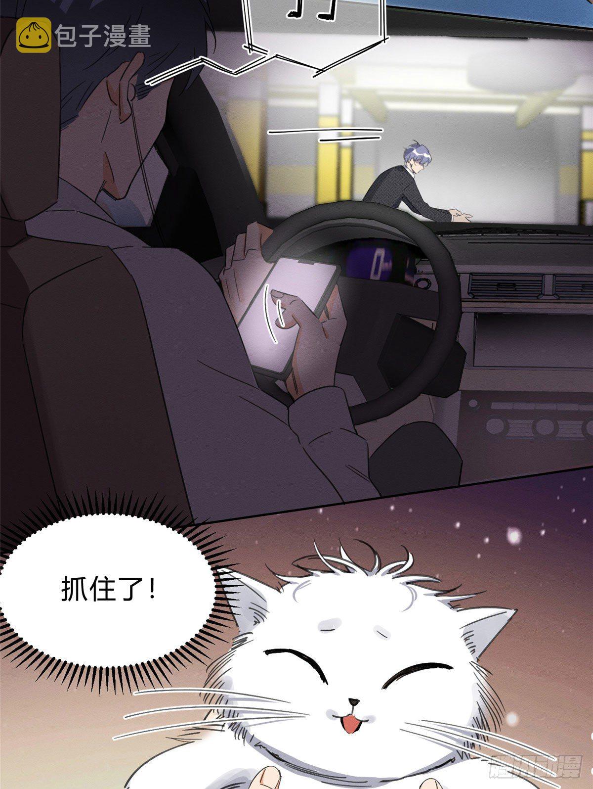第1话 我变成猫了！44