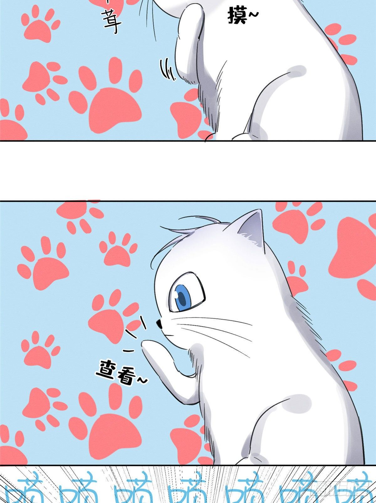 第1话 我变成猫了！58