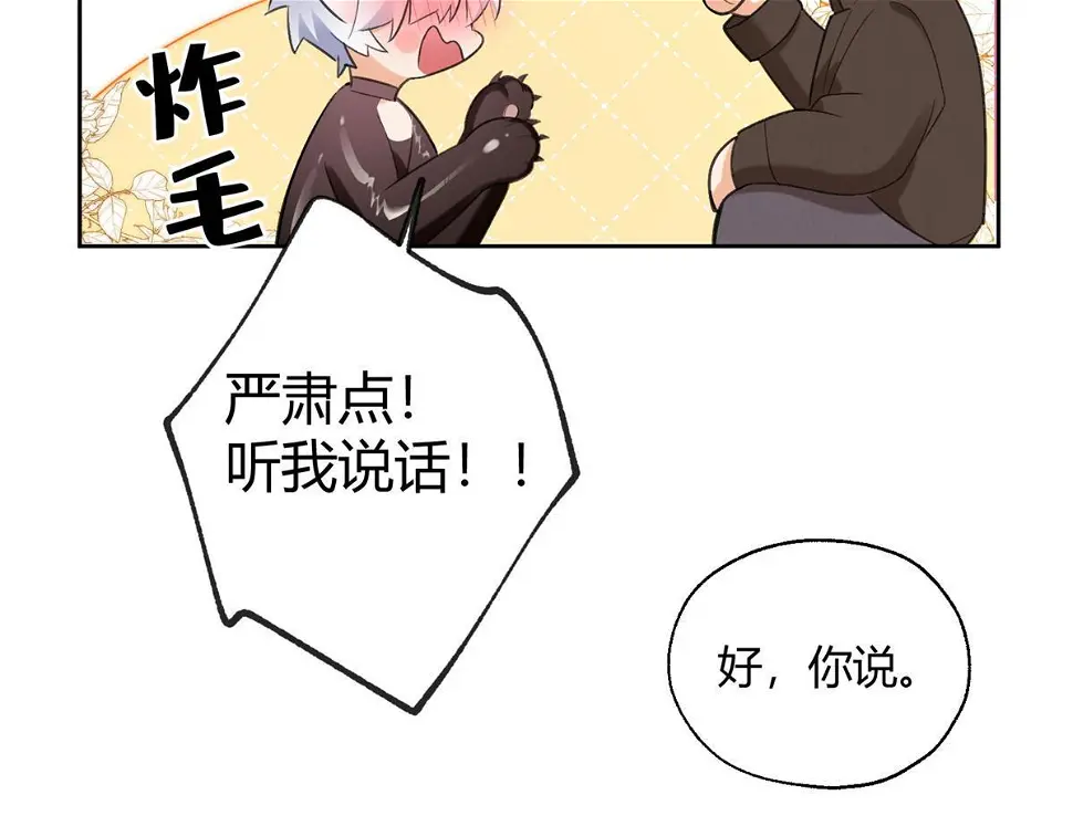 104 猫猫回归！16