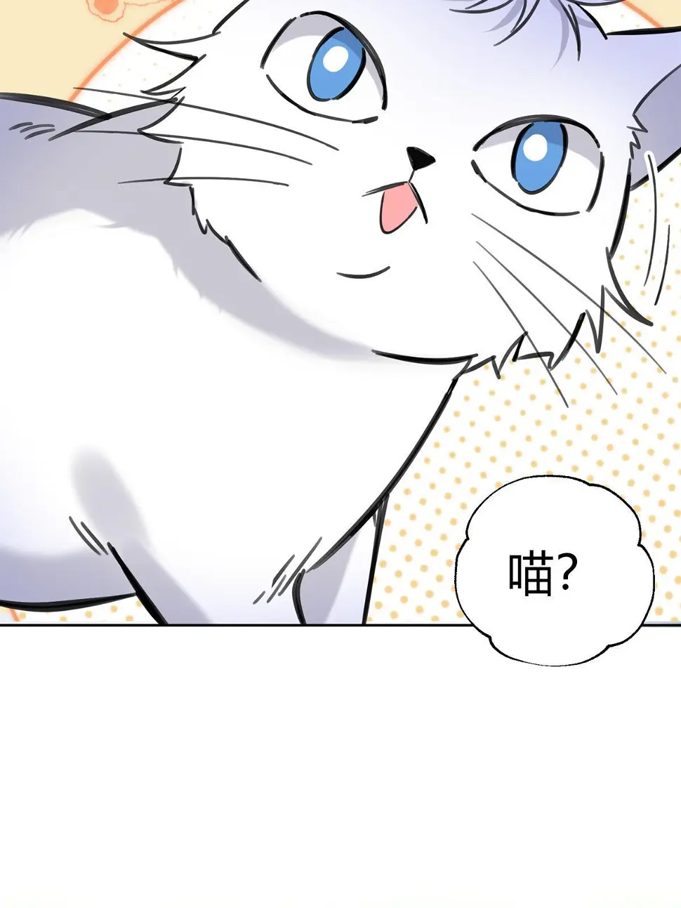 104 猫猫回归！38
