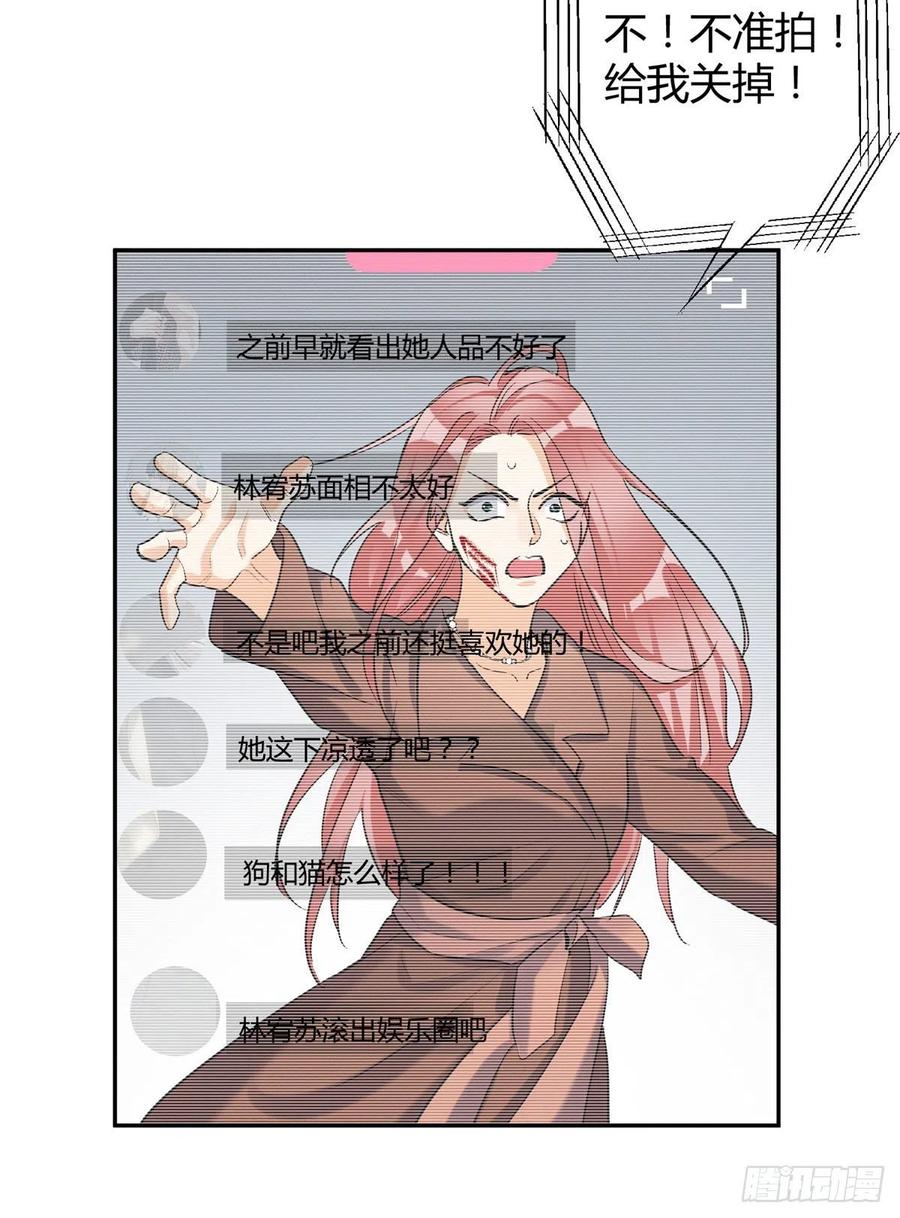 48英雄救猫狗29