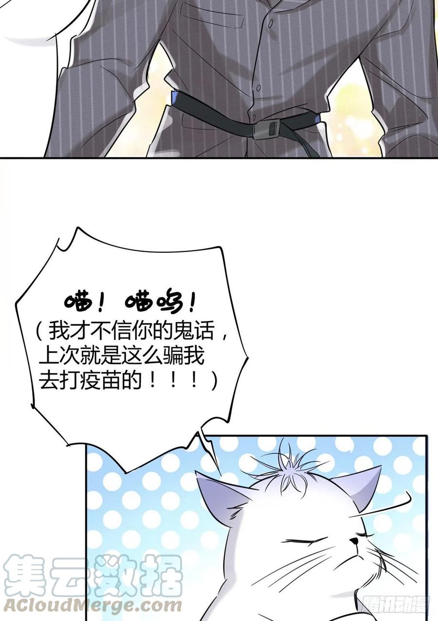 第36话 变成猫怎么恢复？2