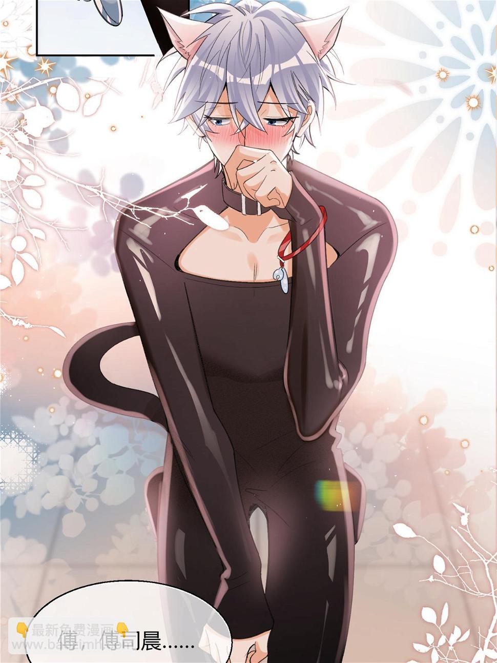 104 猫猫回归！13
