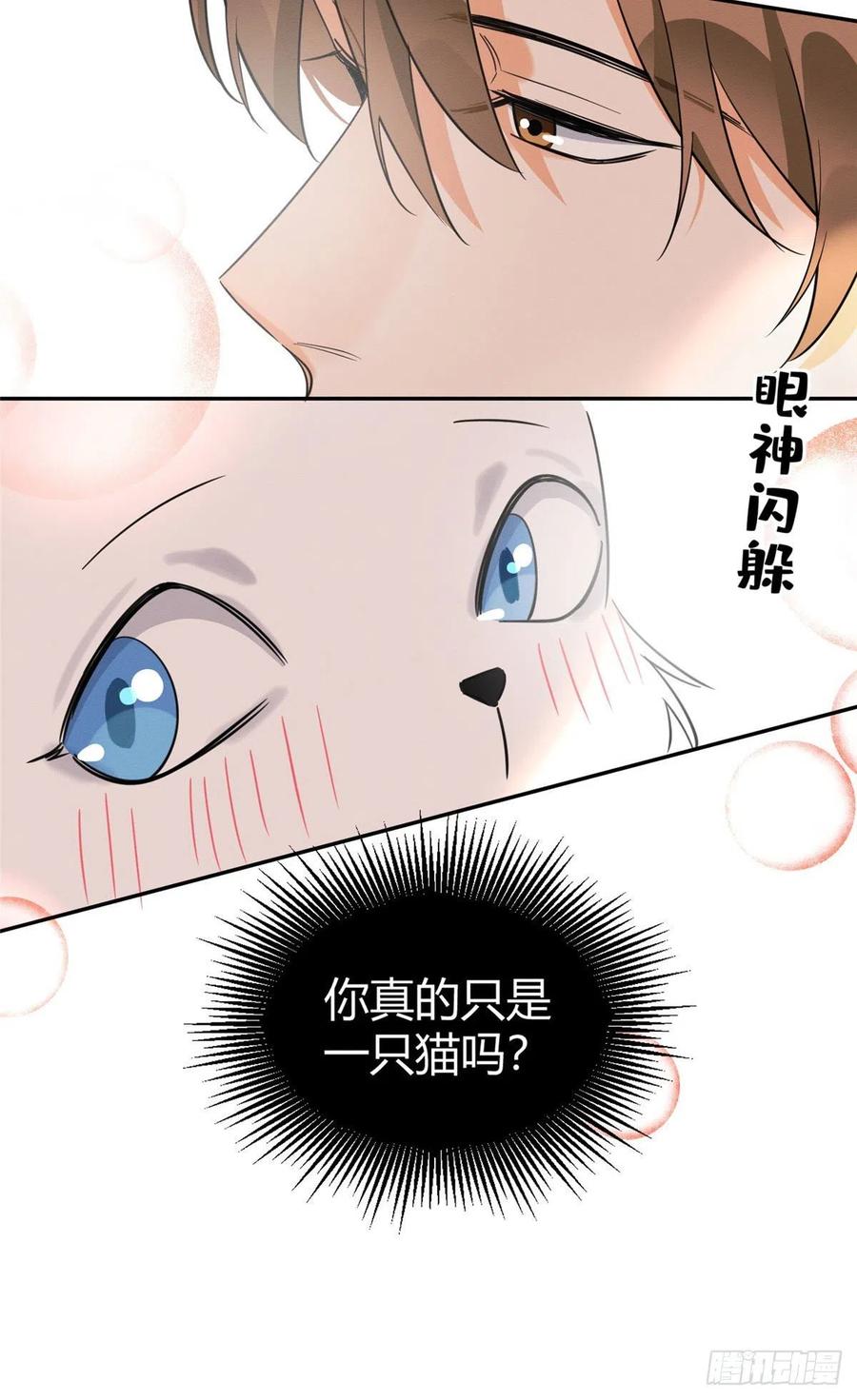 第34话 人猫CP31