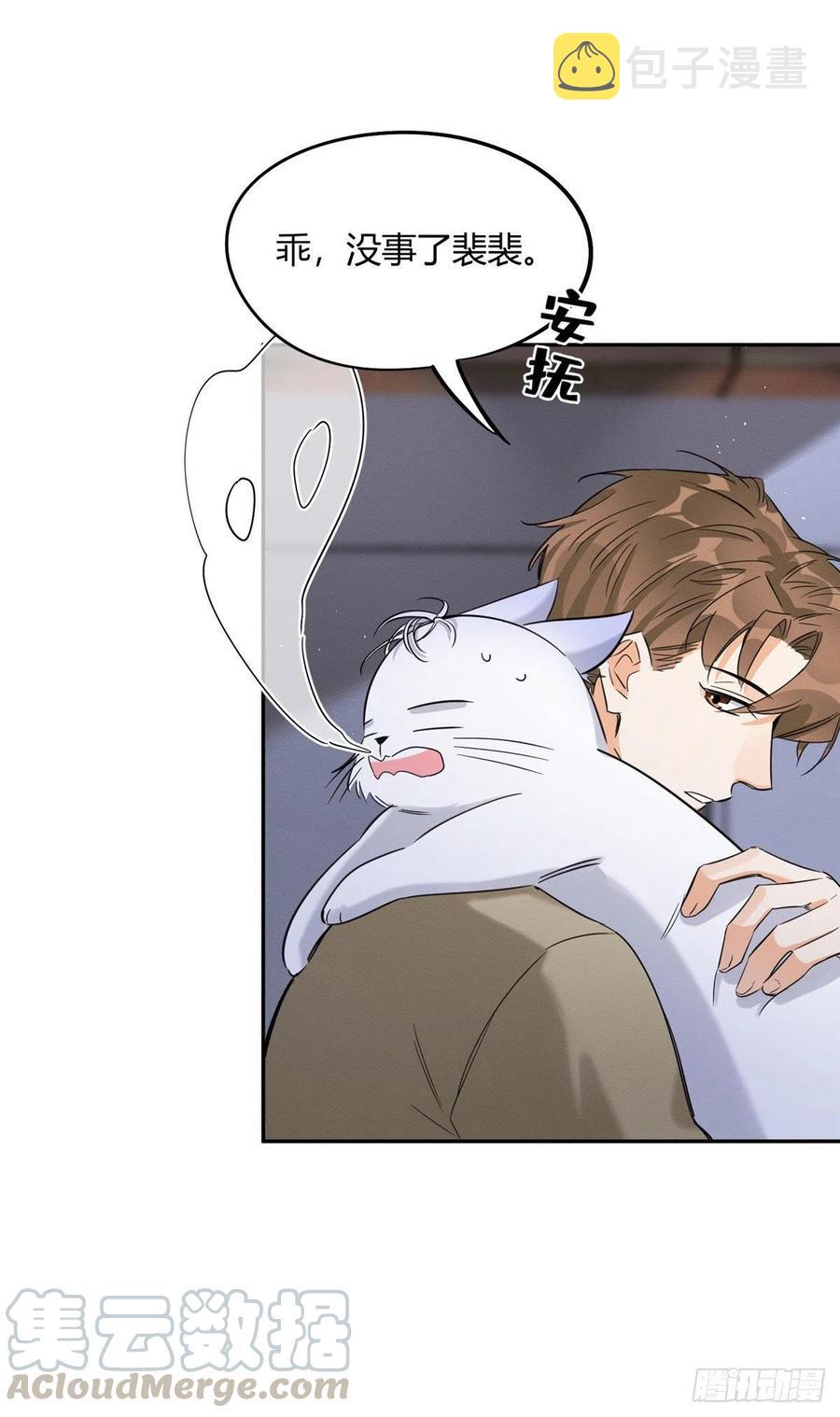 第33话 睹猫思人8