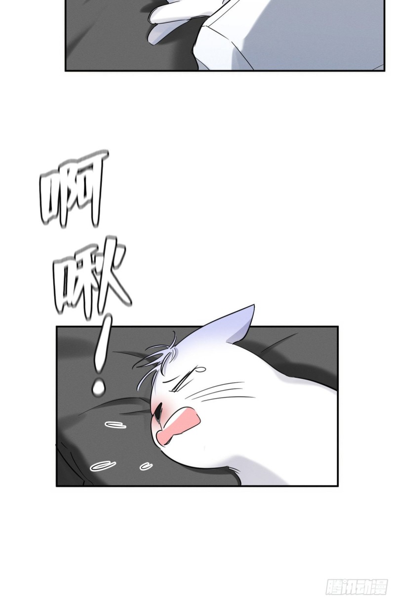 第35话 猫猫病啦8