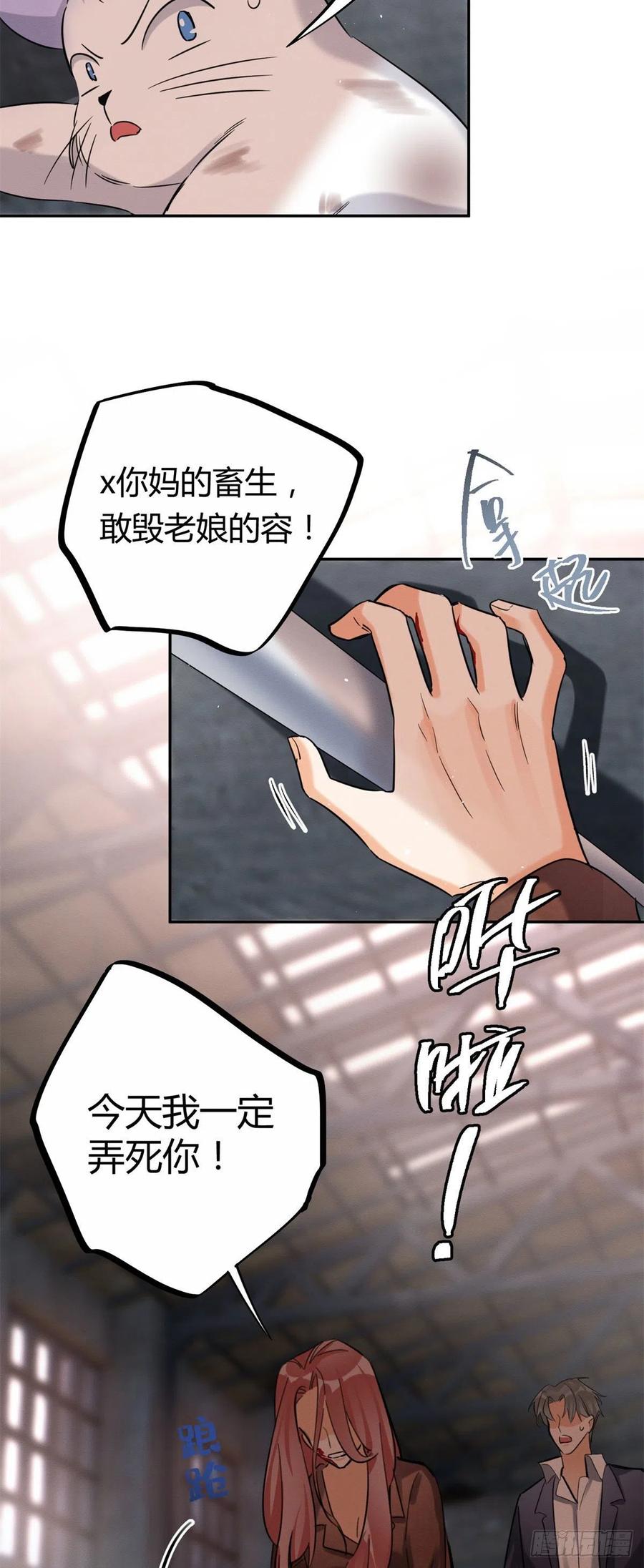 48英雄救猫狗11