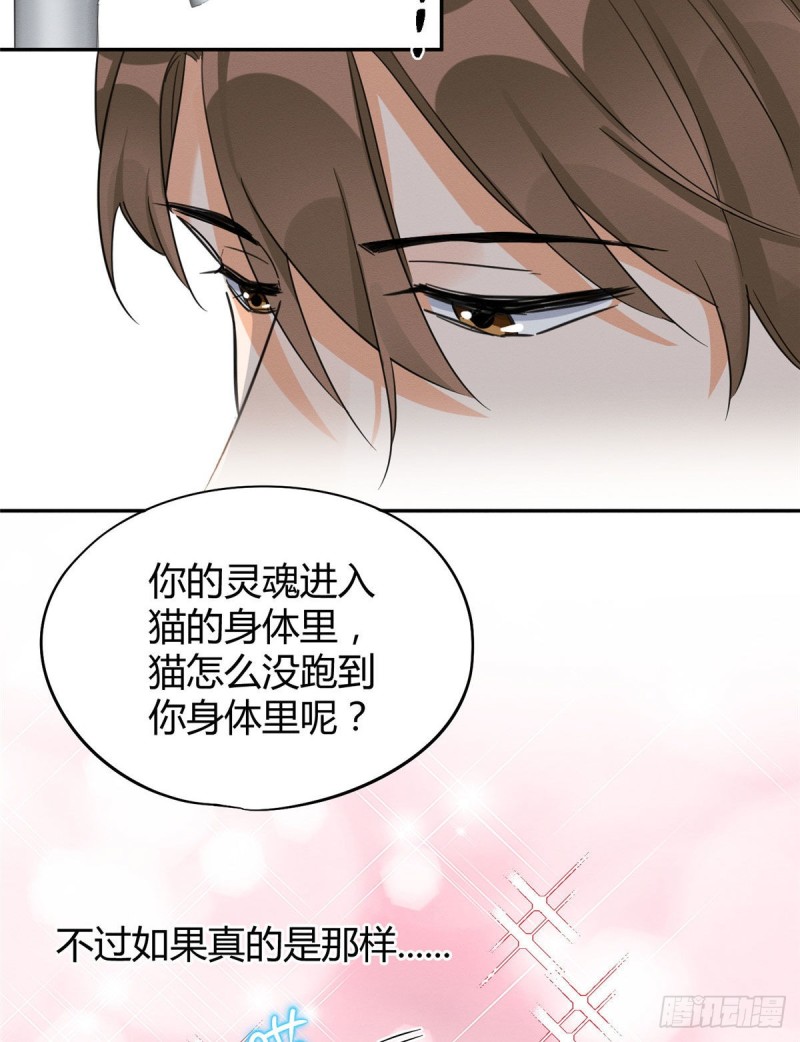 第38话 吻？能醒吗19