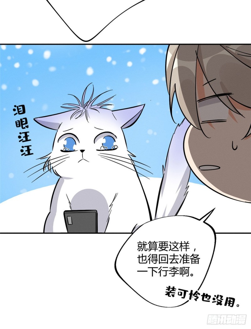 第26话 他爱的是我34