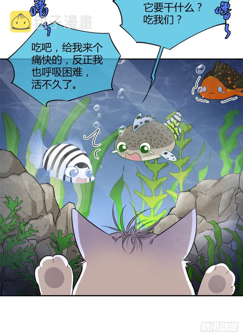 第24话 别冤枉他18