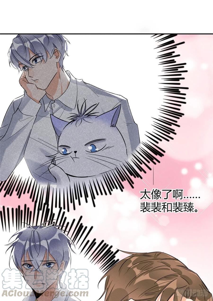 第36话 变成猫怎么恢复？10