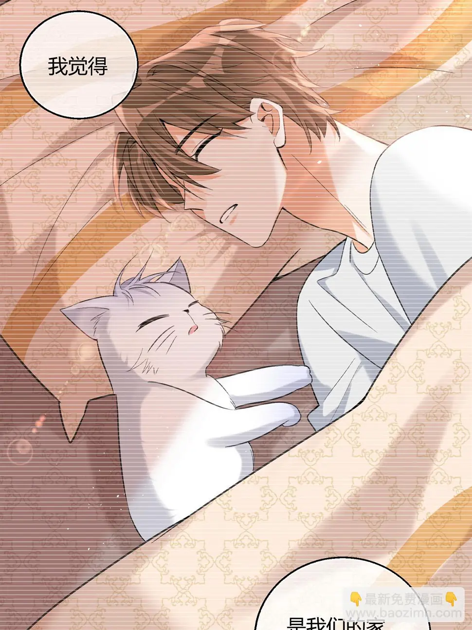 104 猫猫回归！22