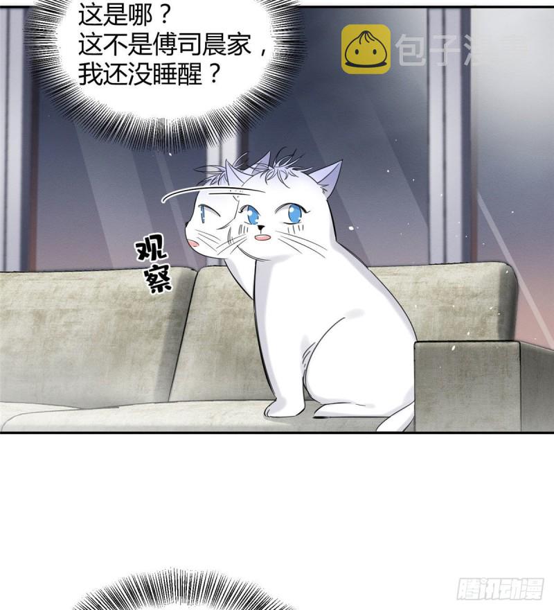 第37话 你就是裴臻7