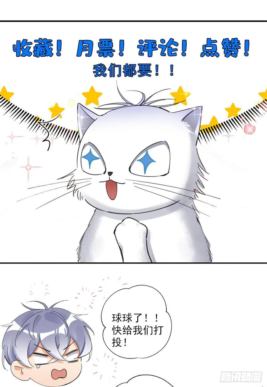 48英雄救猫狗39