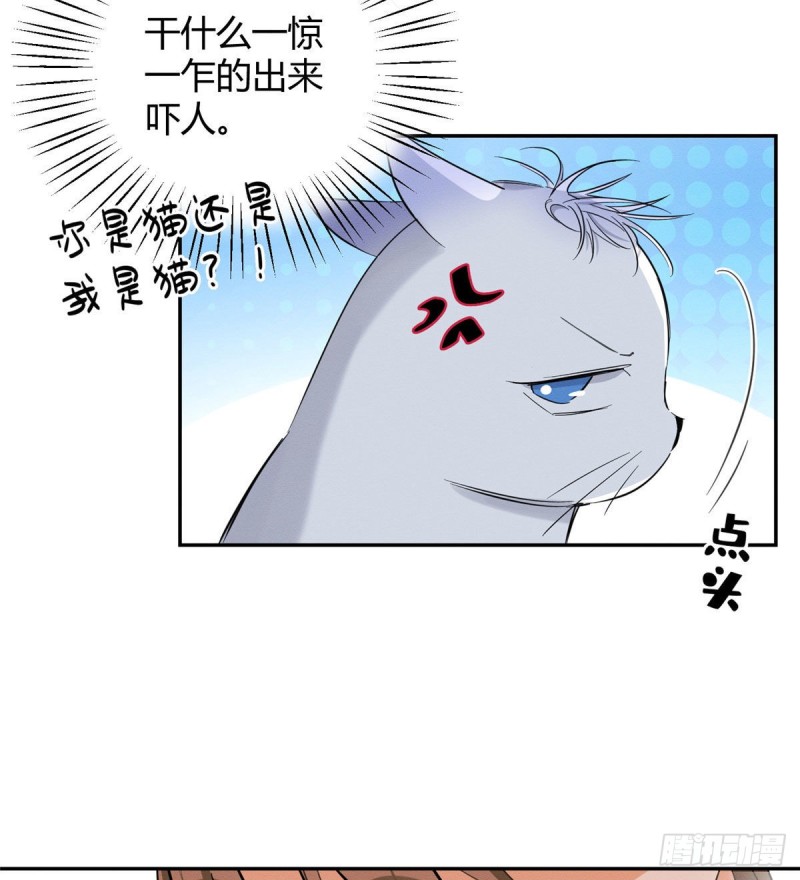 第37话 你就是裴臻11