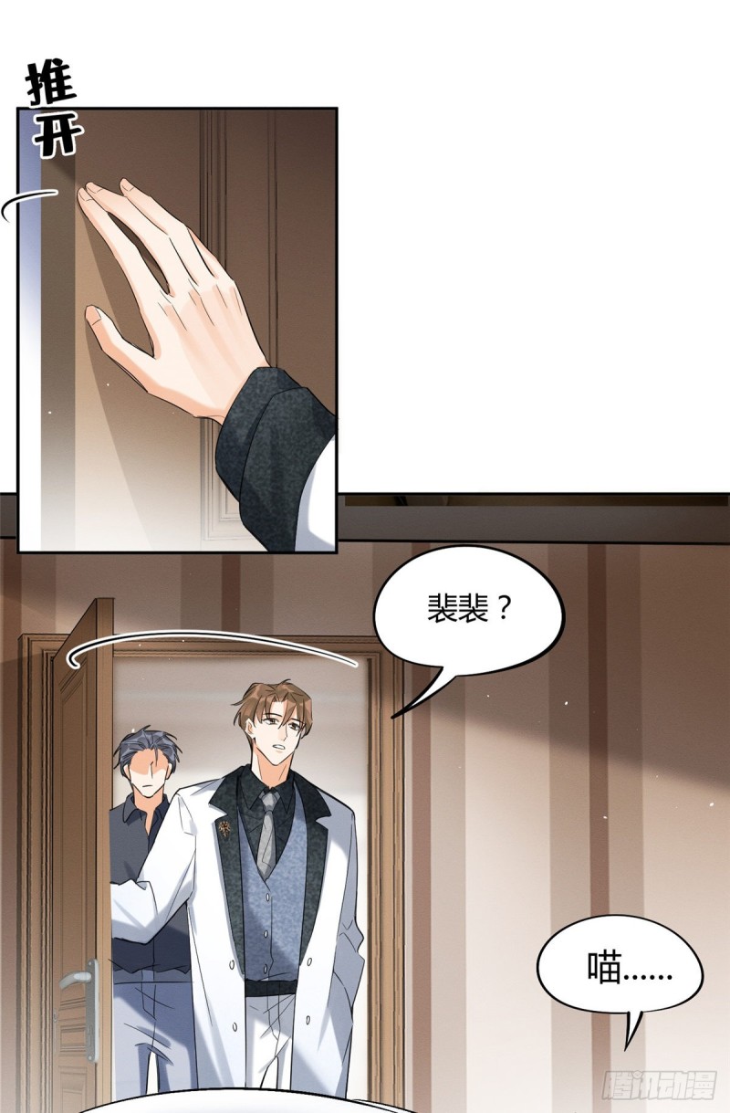 第35话 猫猫病啦6