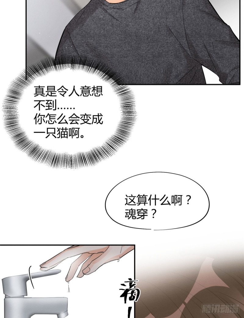 第38话 吻？能醒吗18