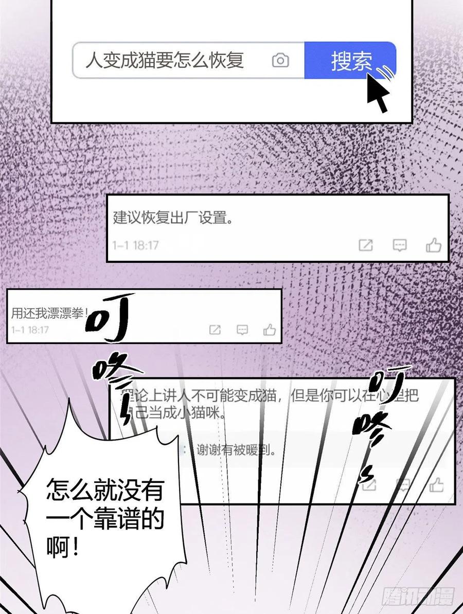 第36话 变成猫怎么恢复？17