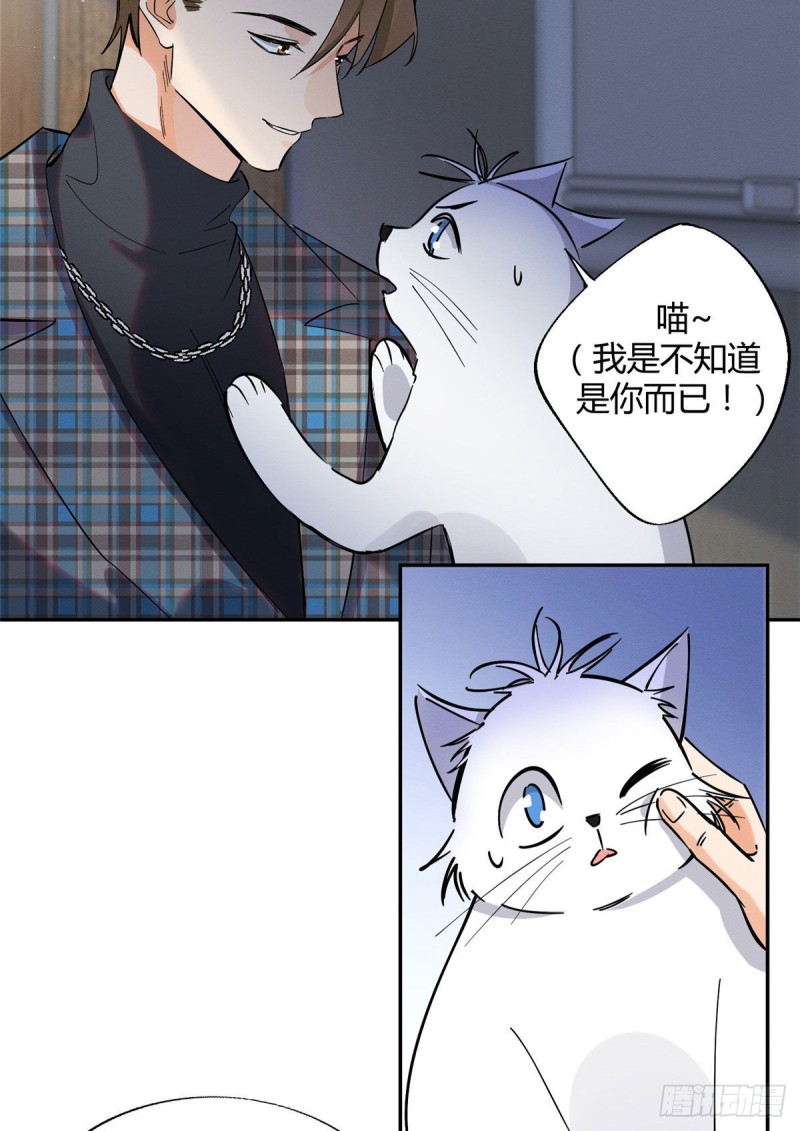 第23话 机会来了！19
