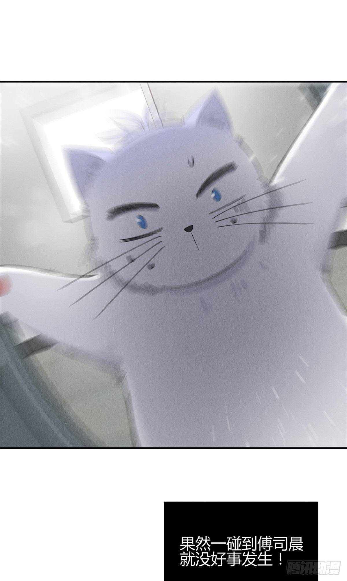 第7话 臭小子？14