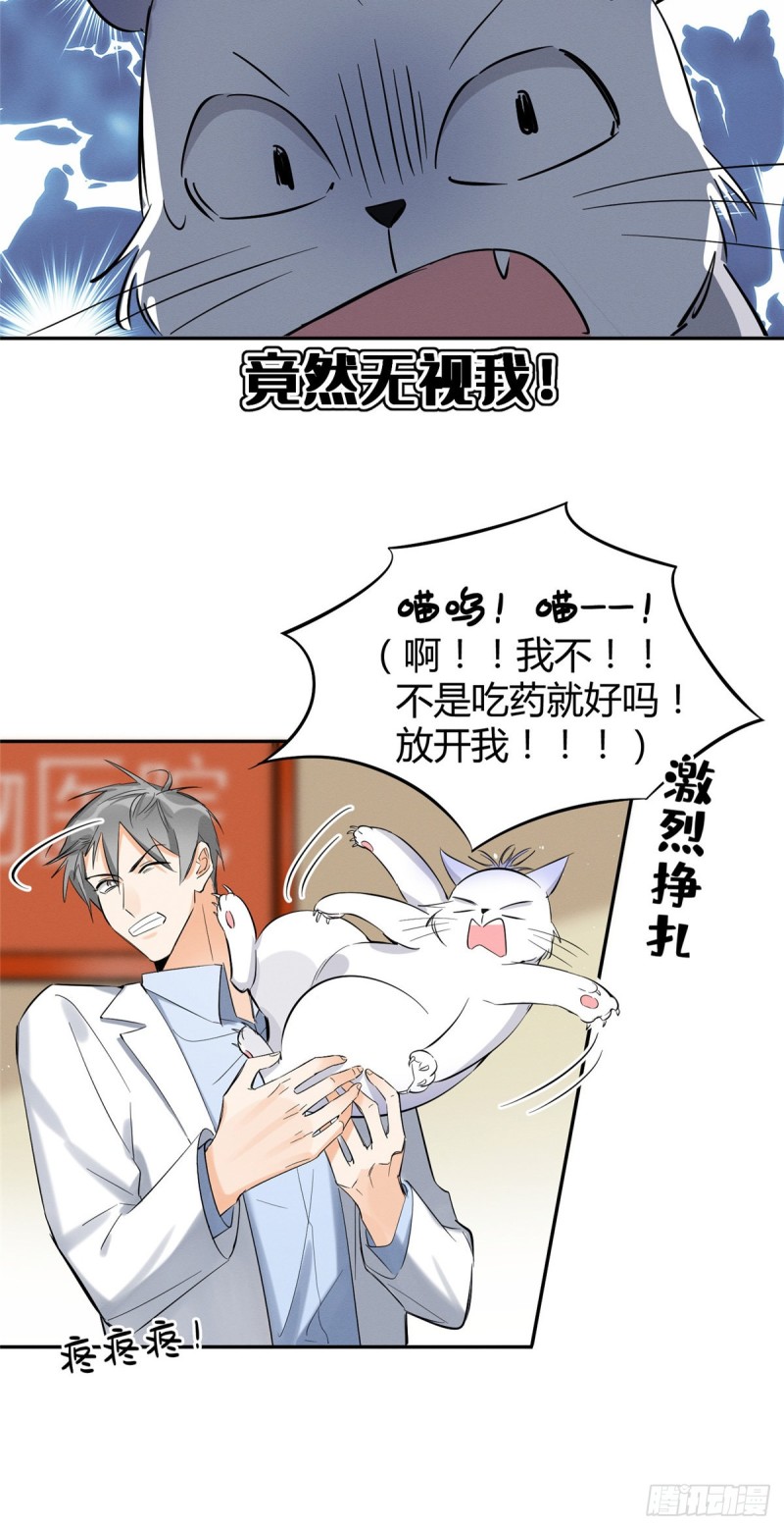 第35话 猫猫病啦15