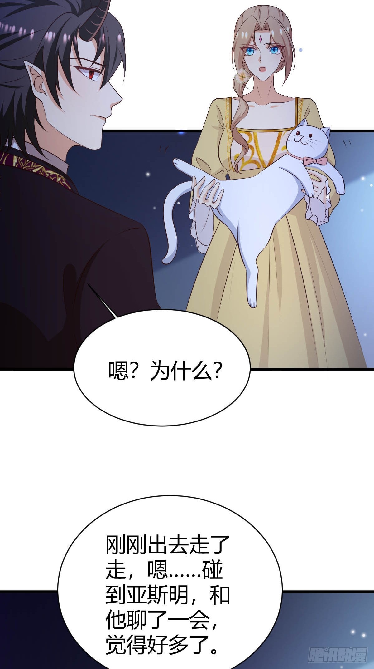 77 猫猫立大功9