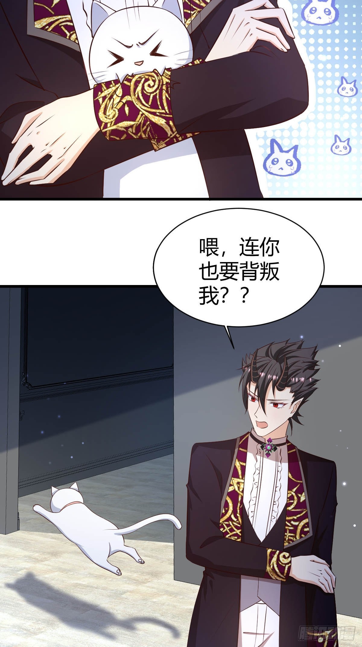 77 猫猫立大功19