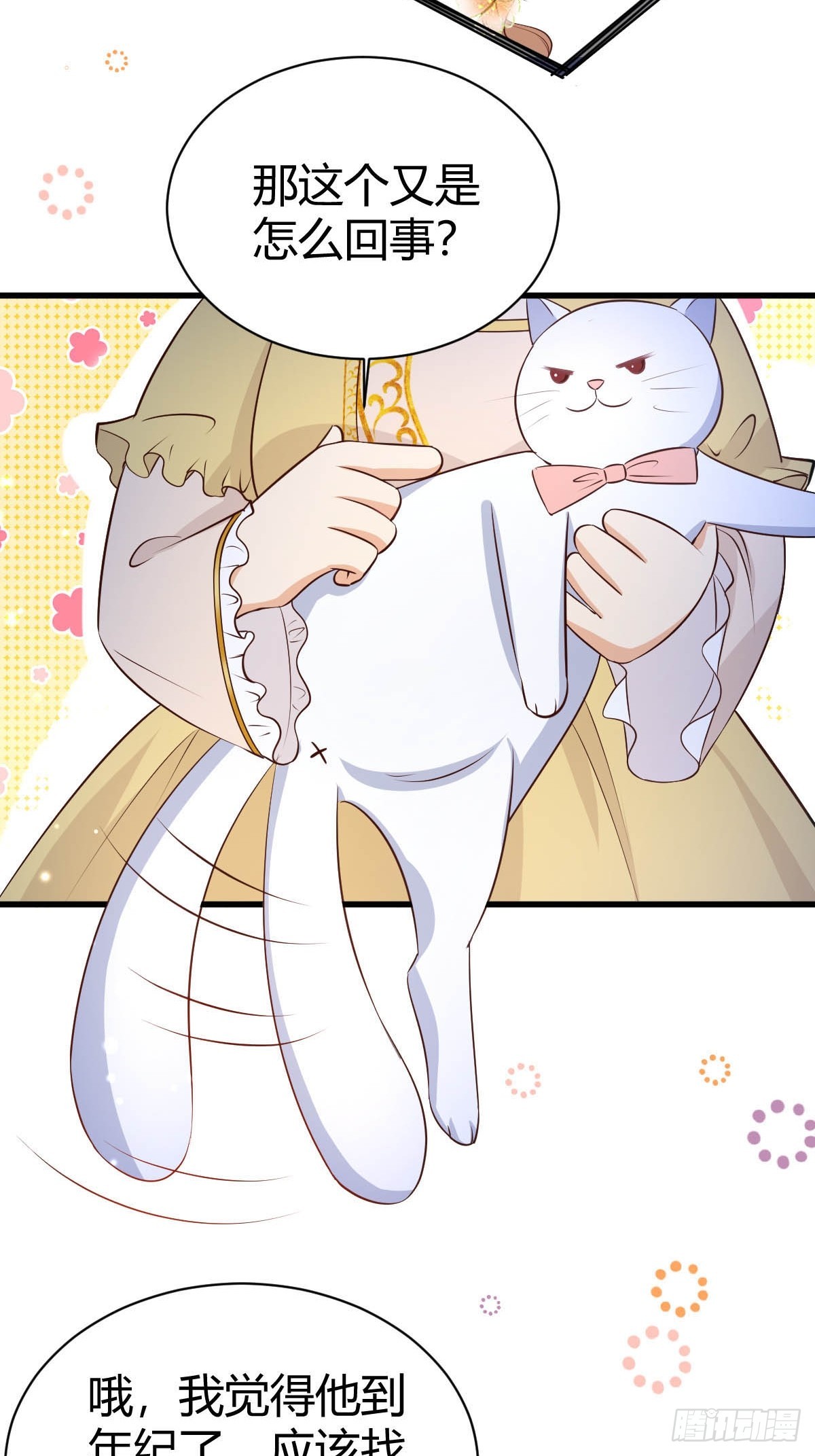 77 猫猫立大功14