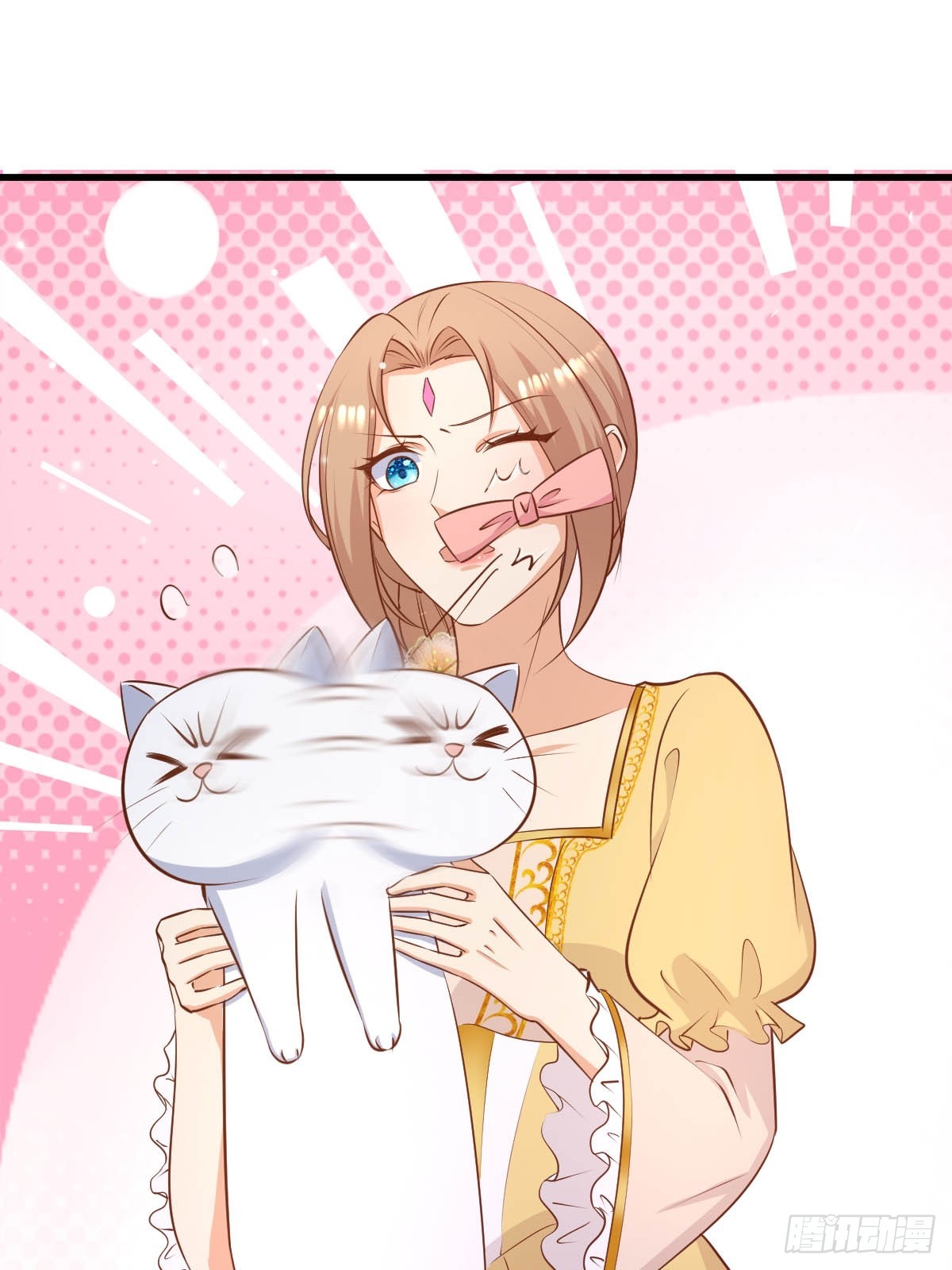 77 猫猫立大功22