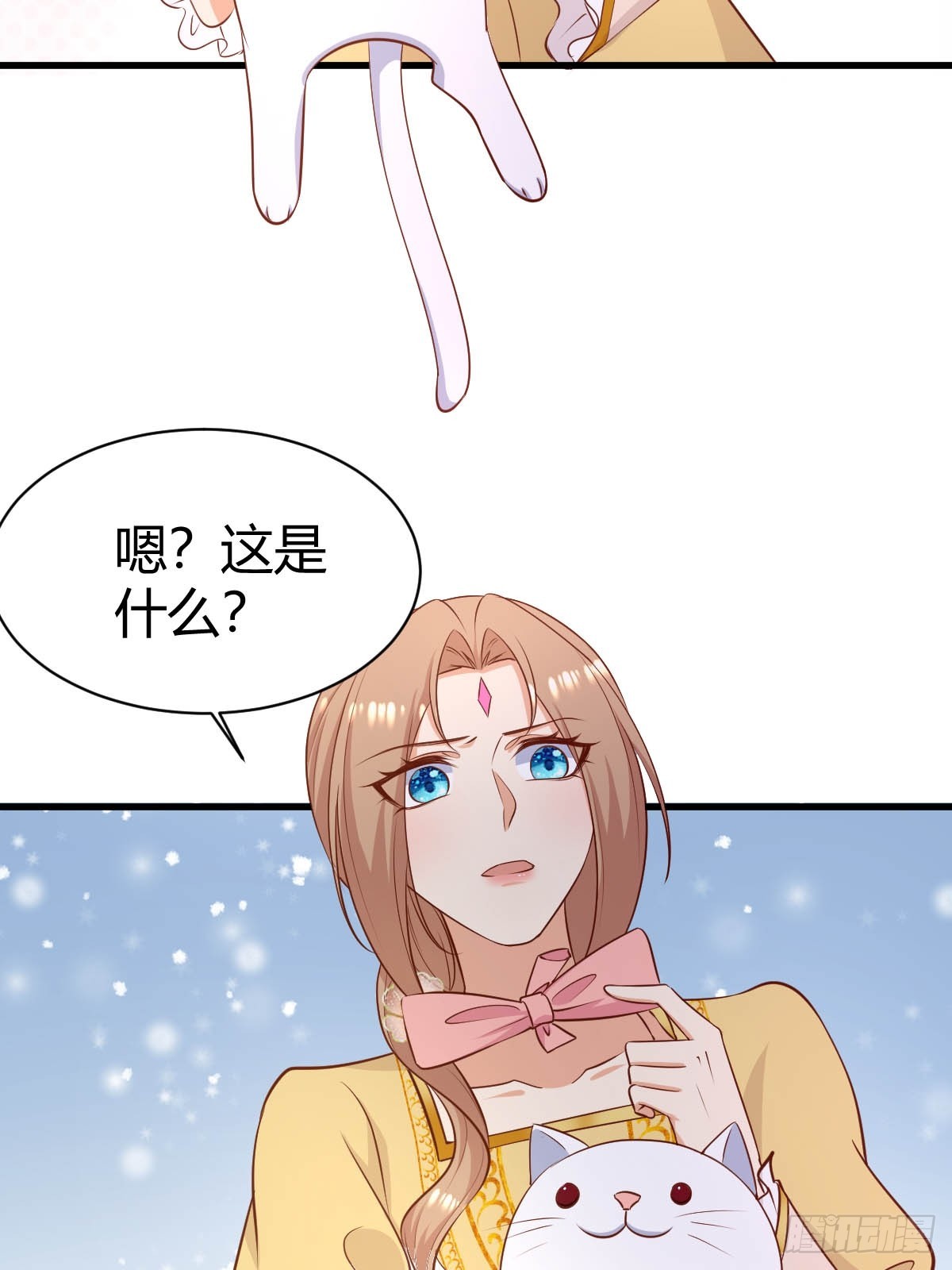 77 猫猫立大功23