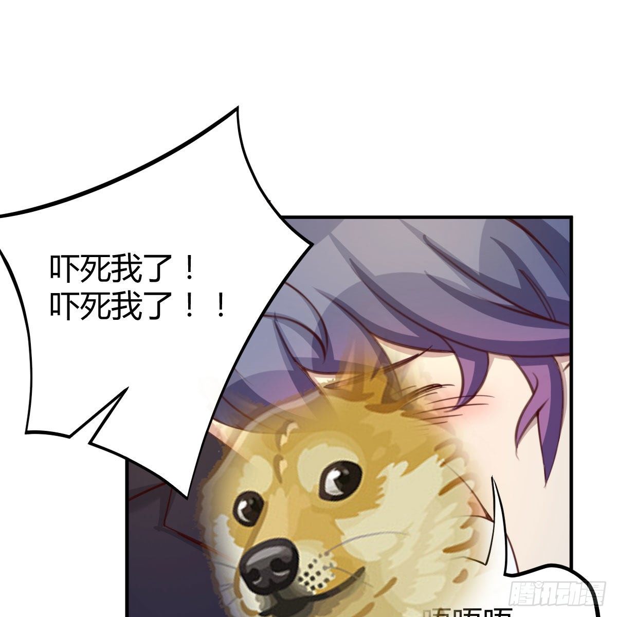 应对71