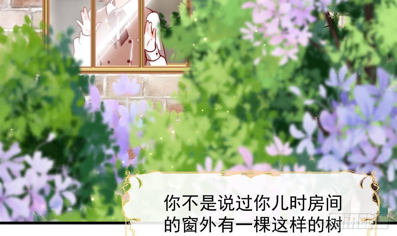 第10话 花园舞会14